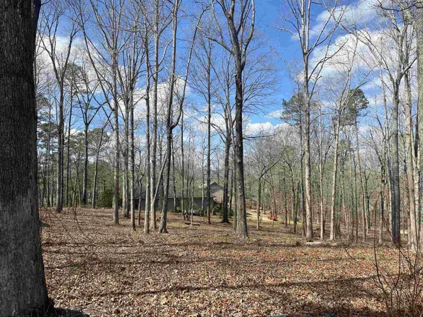 0 Sandpiper Point & Old South Rd Lot 269, Counce, TN 38326