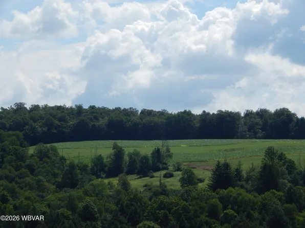 607 Brick Church Rd Parcel 1, Liberty, PA 16930