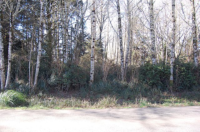 1st image of 401 Duck Lake Dr NE