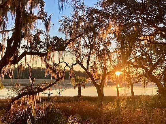 Morning on The Marsh
