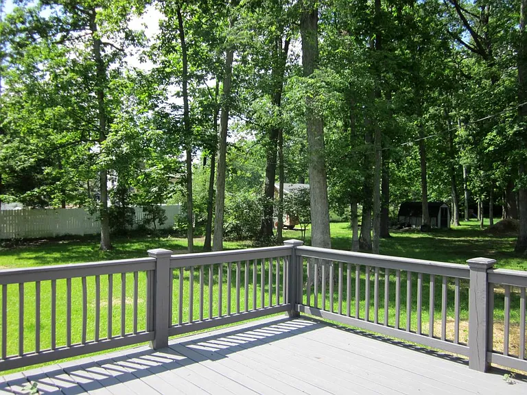 Beautiful Back Yard