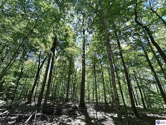 2nd image of 2525 Salem Lake Rd Lot 11