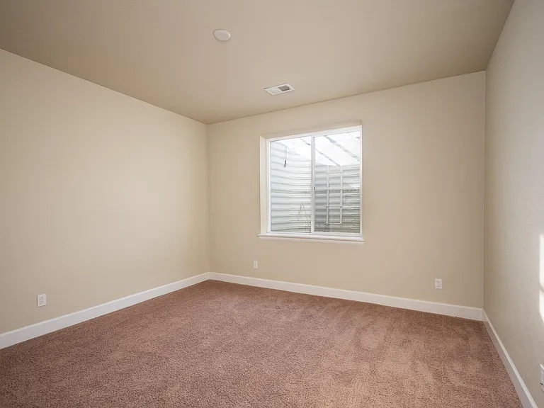 Full basement bedroom with huge walk-in closet