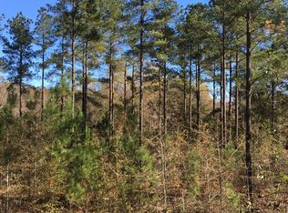 34 Beagle Rd, Twin City, GA 30471