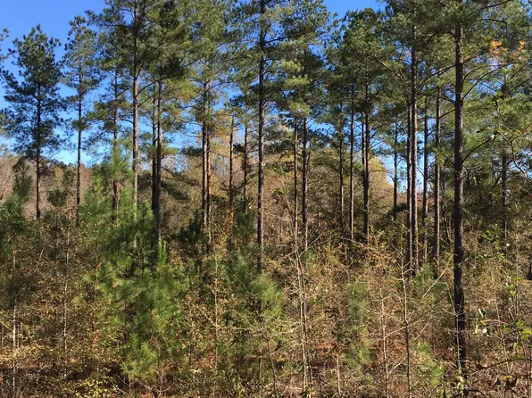 34 Beagle Rd, Twin City, GA 30471
