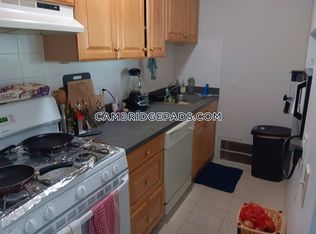 20 Hubbard Ave APT 7, Cambridge, MA 02140