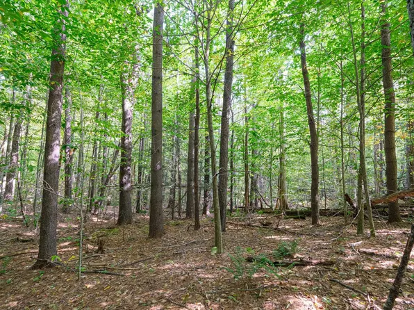 0 Densmore Road, Cavendish, VT 05142