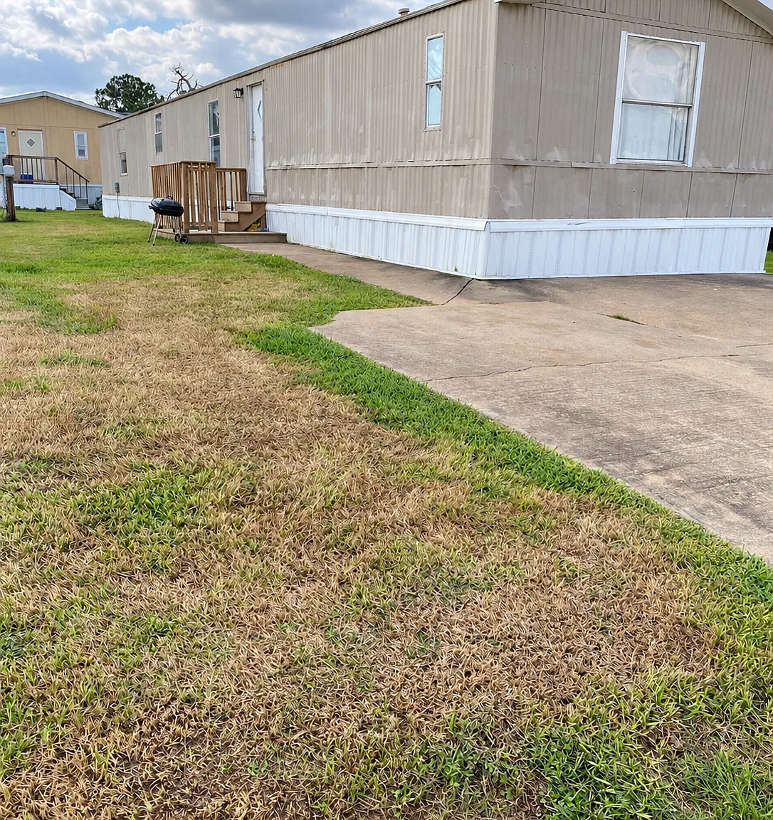 3 bed, 1216 sqft, $1,350 — Photo 1