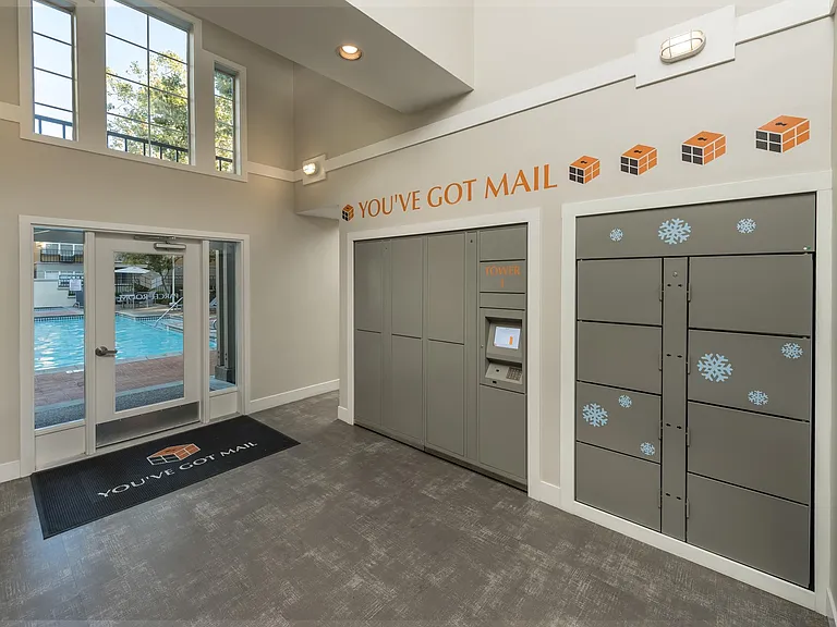 Bella Vista — Photo 13