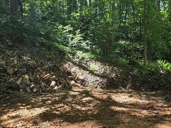 3rd image of 533 Enchanted Forest Dr