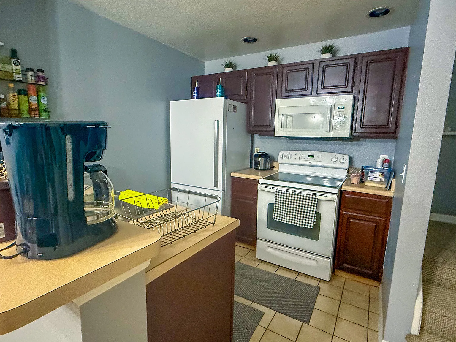 3 bed, $800 — Photo 4