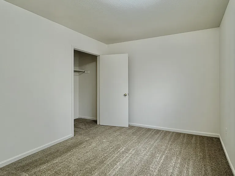 Spring Tree Apartments — Photo 12