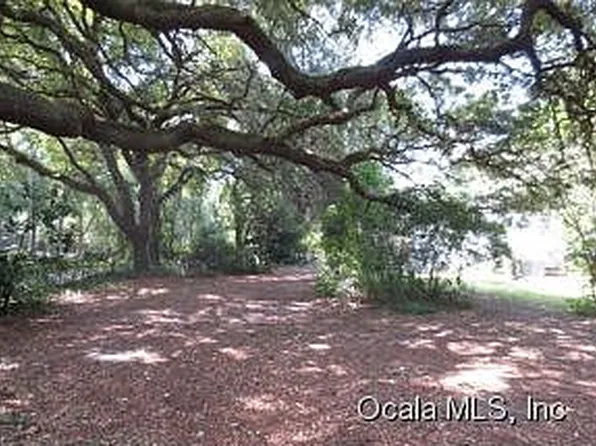 941 NE 144th Ct, Silver Springs, FL 34488