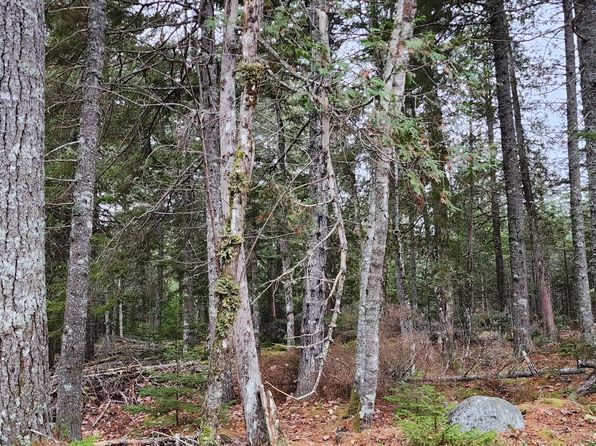 52 Harls Camp Road, Jonesboro, ME 04634