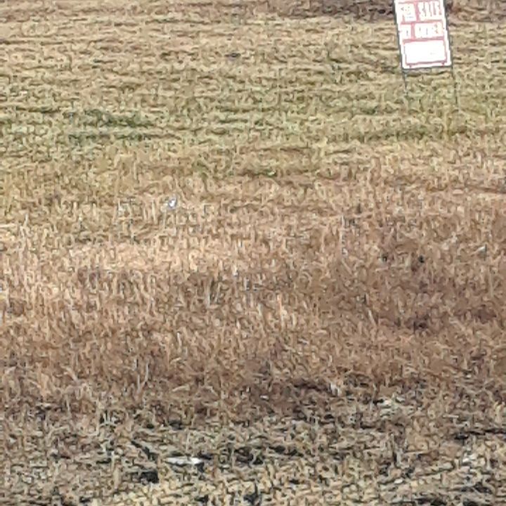 2nd image of 0 Us 25 E