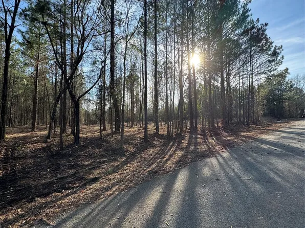 0 Line Rd, Homer, LA 71040