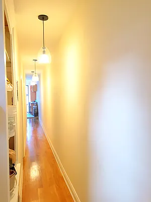 Rented by Rapid Realty Cobble Hill | media 20