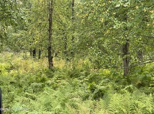 9738 Susitna Rd E, Trapper Creek, AK 99683