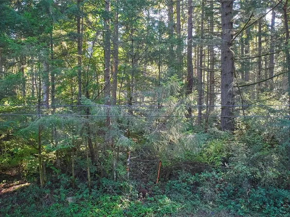 10217 Eckenstam Johnson Road, Anderson Island, WA 98303