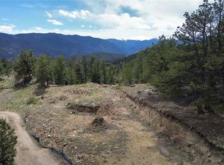 112 Mule Deer Trl, Idaho Springs, CO 80452