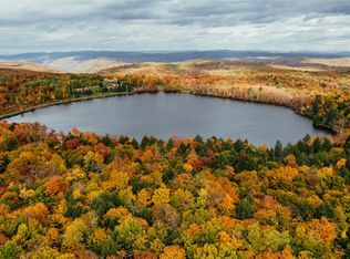 LOT 10 Wood Lake Trail, Roscoe, NY 12736