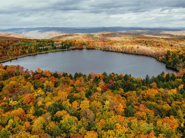 LOT 10 Wood Lake Trail, Roscoe, NY 12736