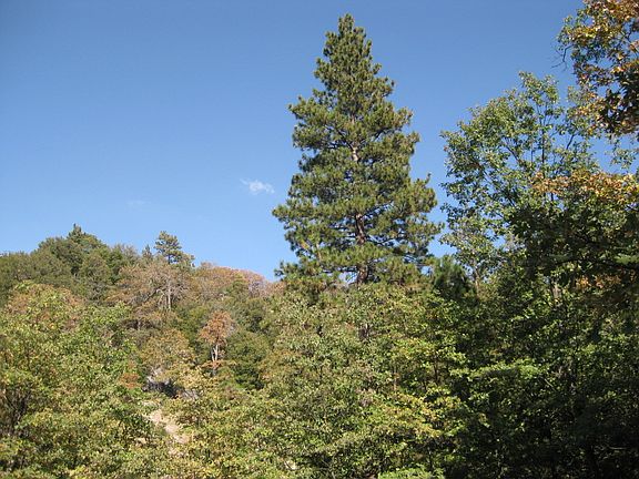 2nd image of Deer Way