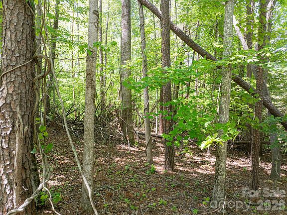 5th image of 99999 Brevard Rd