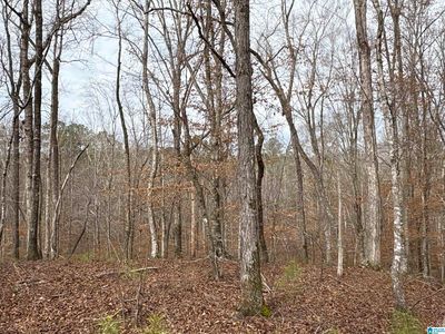 0 County Road 55 #1, Clanton, AL, 35046
