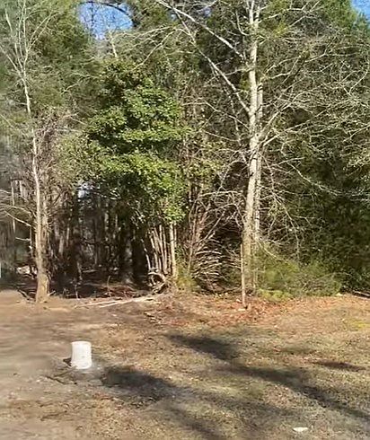 2nd image of 951 Utah Cir