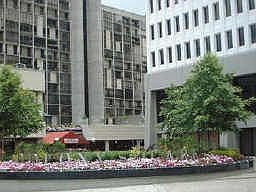 Great Condominium. Walking distance to shops and malls