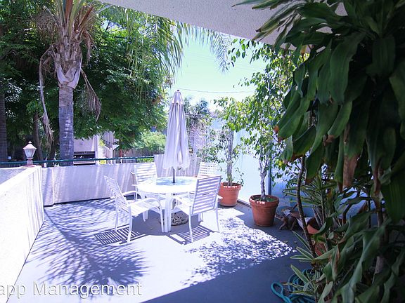 3rd image of 939 Palm Ave APT 303