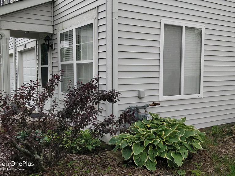 3118 Alyssa St — Photo 2