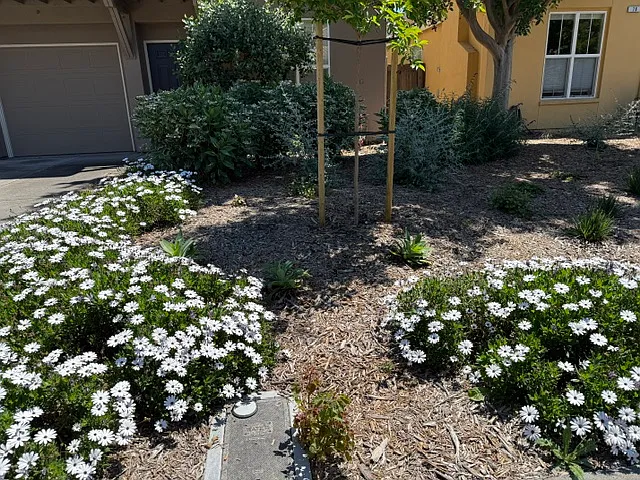 Arnold Dr — Photo 22