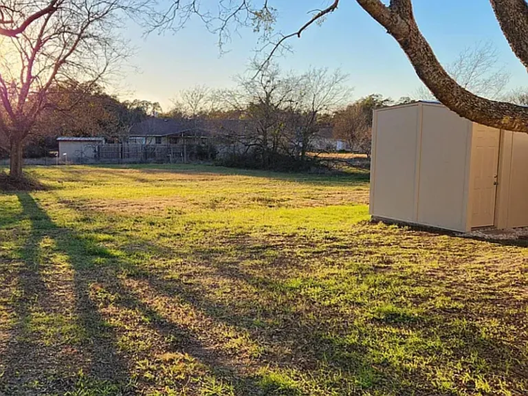 Backyard