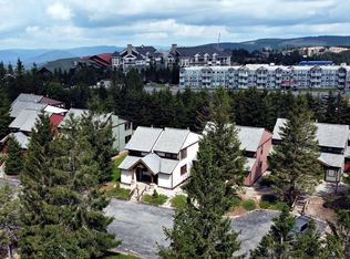 10 Treetop, Snowshoe, WV 26209