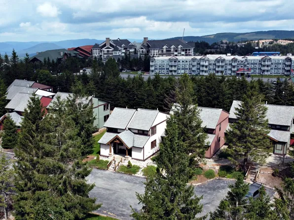 10 Treetop, Snowshoe, WV 26209