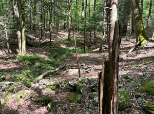 Tbd Irish Cape Rd, Napanoch, NY 12458