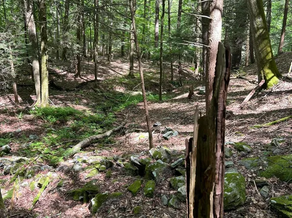 Tbd Irish Cape Road, Napanoch, NY 12458