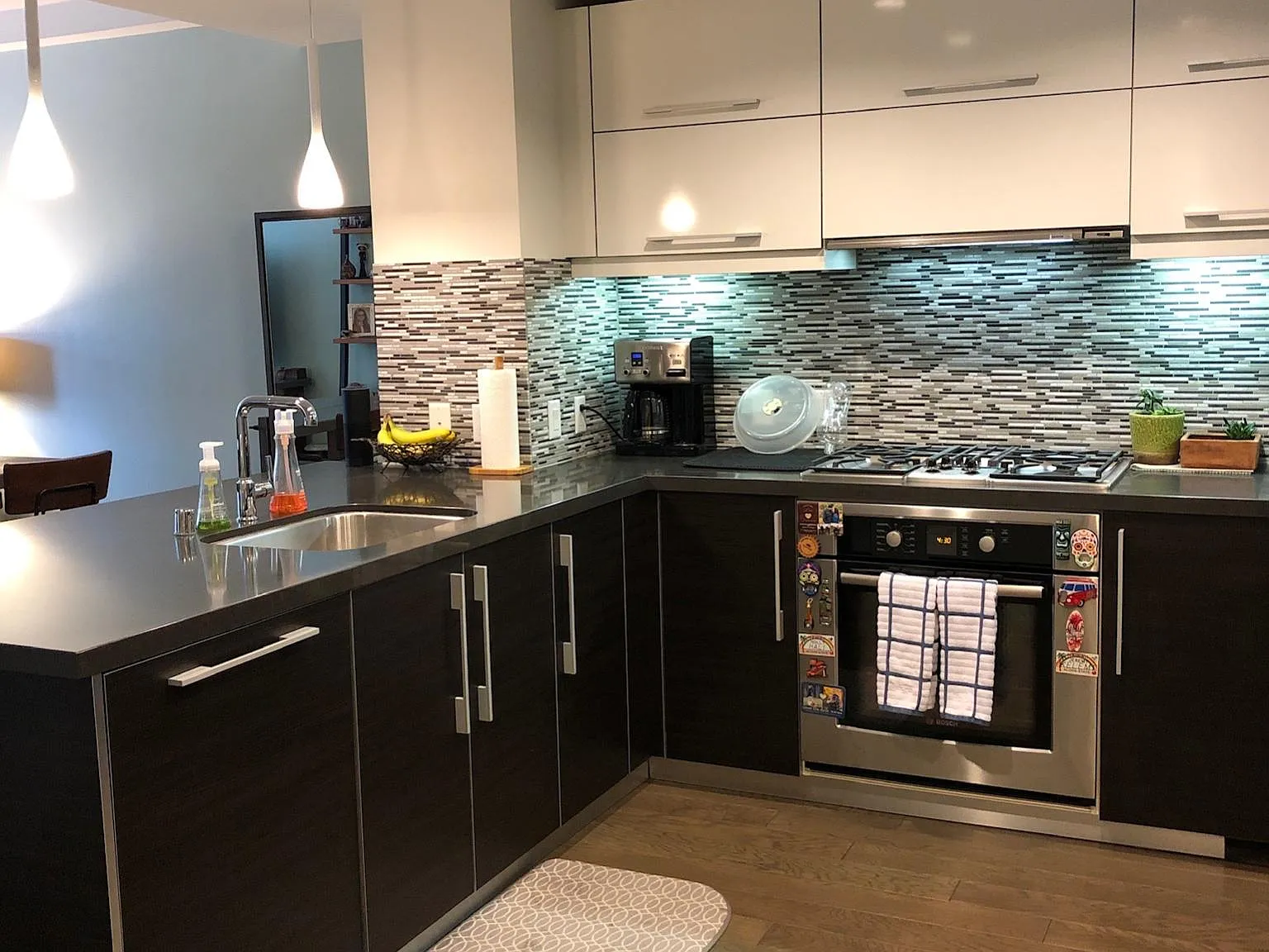1 bed, 973 sqft, $4,695 — Photo 2