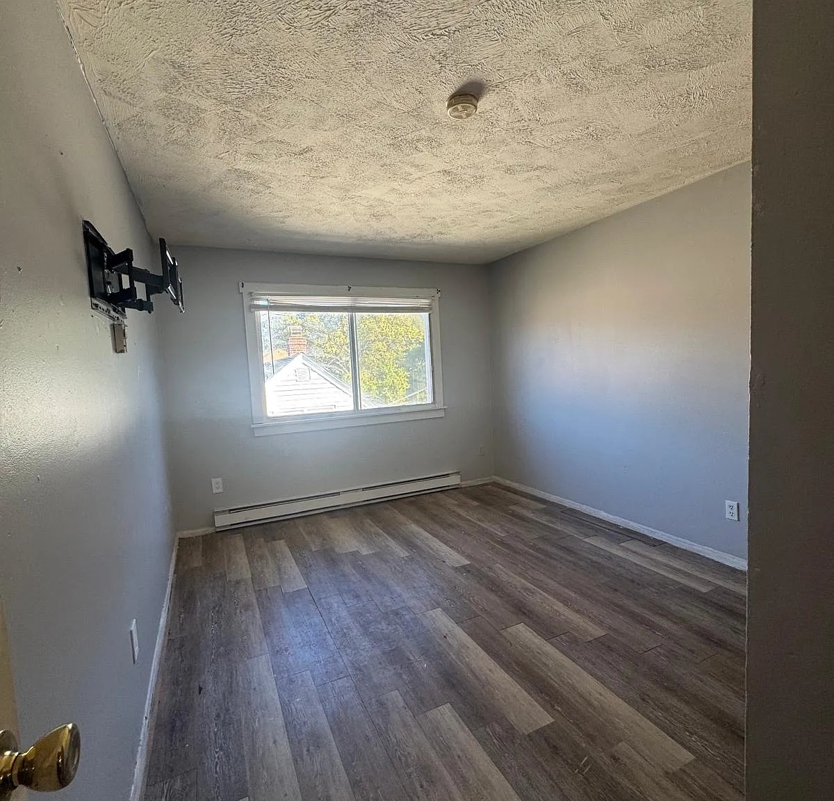 1 bed, 725 sqft, $1,650 — Photo 3