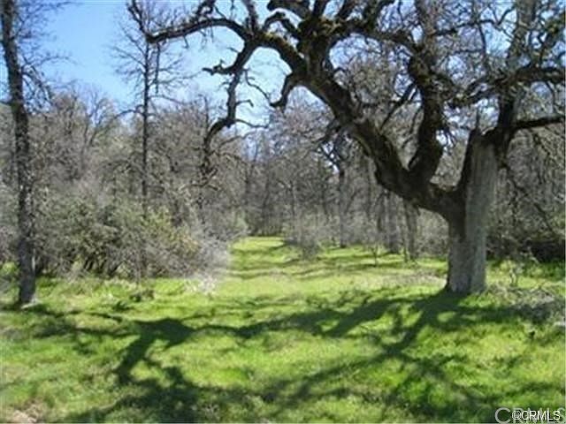2nd image of 0 W Oaks
