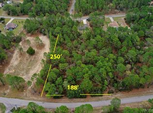 7551 N Windbrook Dr, Citrus Springs, FL 34433