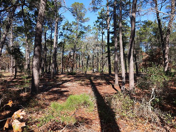 4th image of 1707 Lost Cove Ln