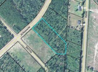 185 Mount Pleasant Rd, Hortense, GA 31543