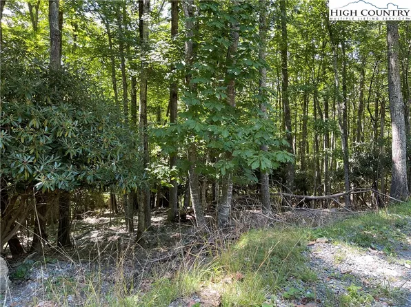 209 Poplar Drive, Beech Mountain, NC 28604