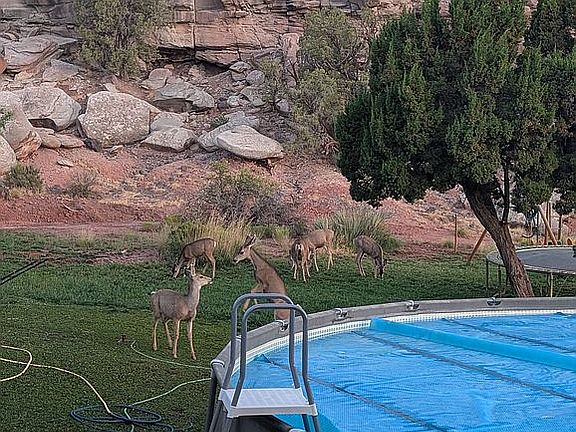 4th image of 4080 Black Mesa Valley Rd