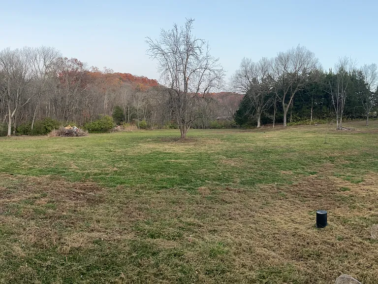 View from back deck