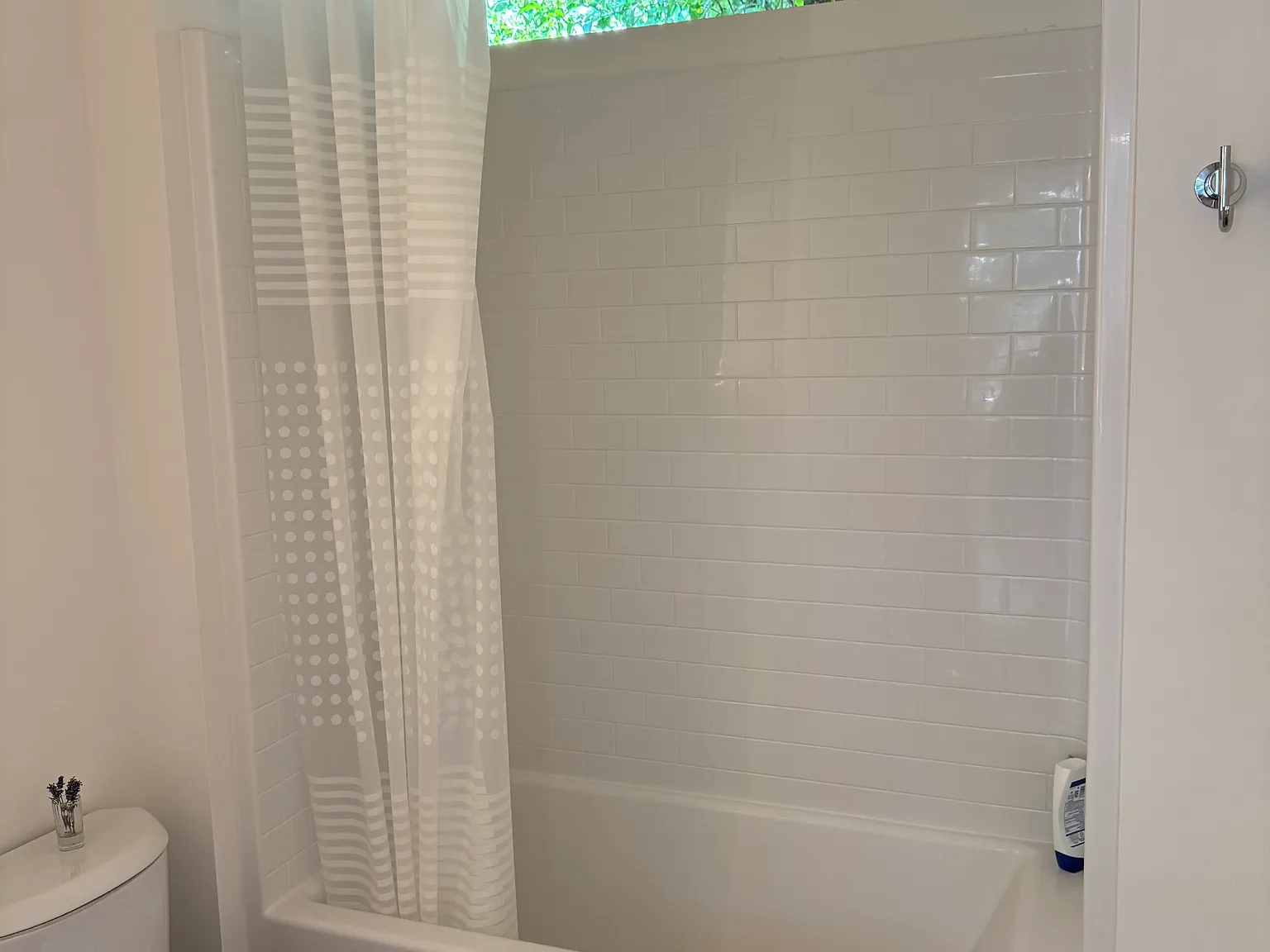 Studio, 320 sqft, $2,100 — Photo 3
