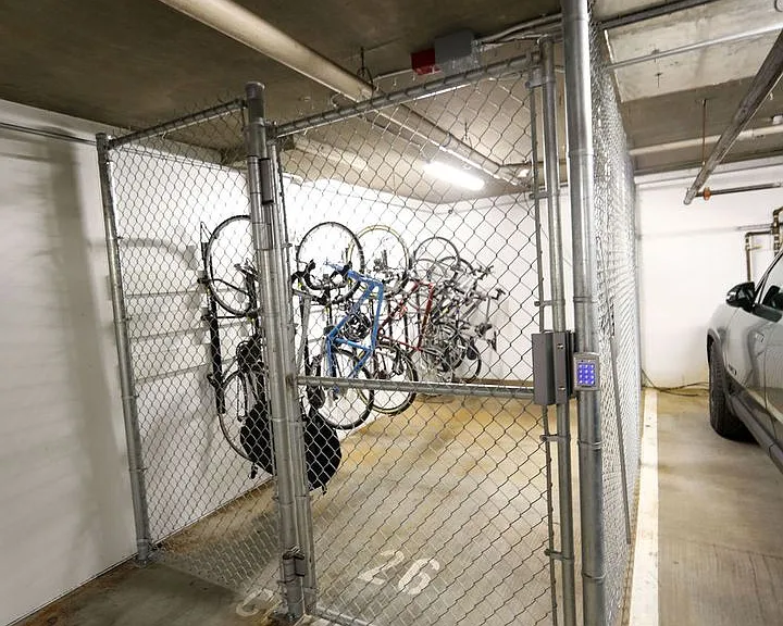 Cohanim Renaissance on The University Ave! — Photo 90